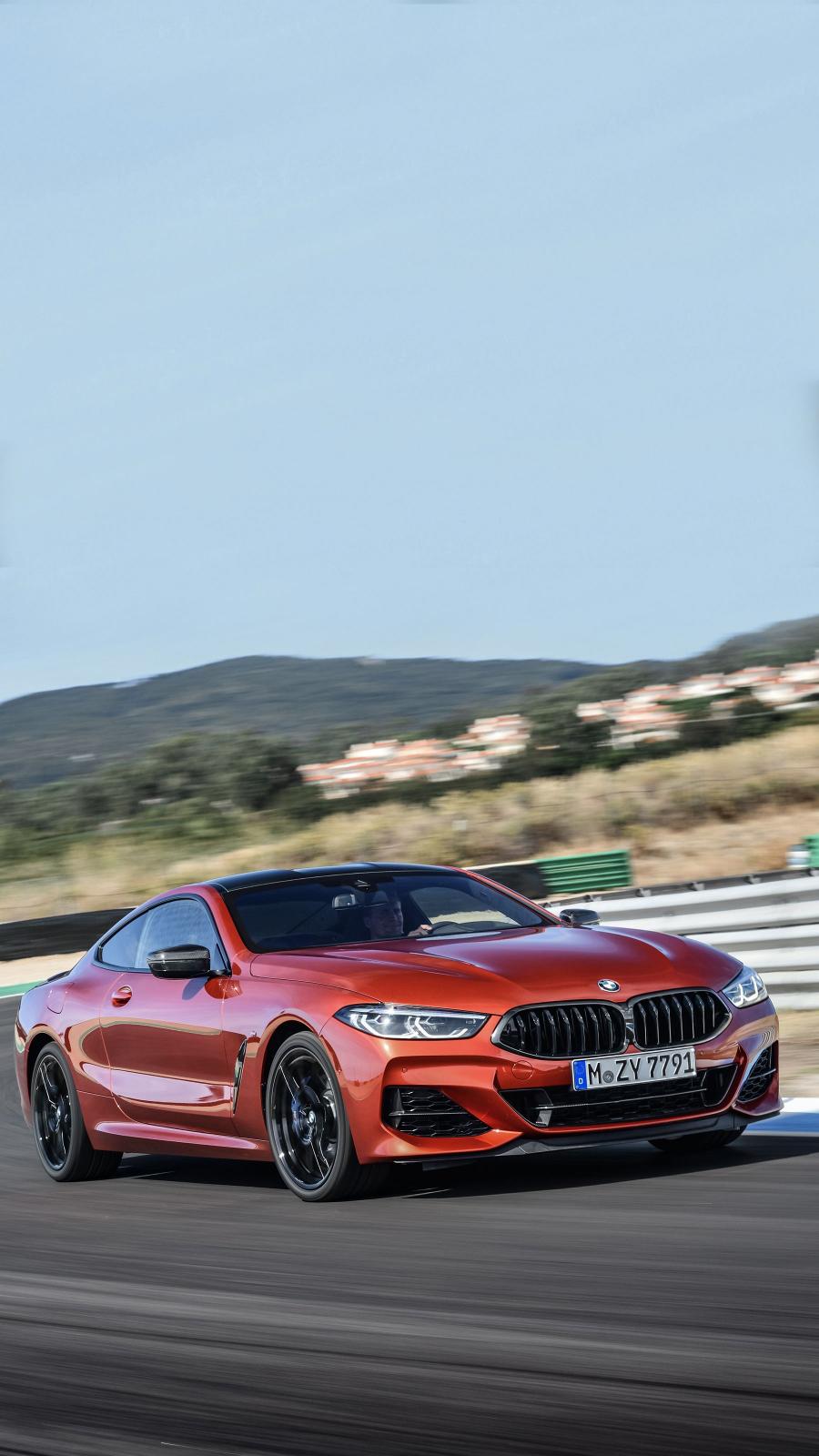  BMW M850i xDrive Carbon Package (G15) 2018 года  (WW) (фото 124 из 287)